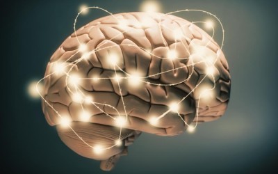 Neuroplasticitatea ne poate ajuta sa descoperim fericirea