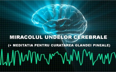 Intuitia si miracolul undelor cerebrale