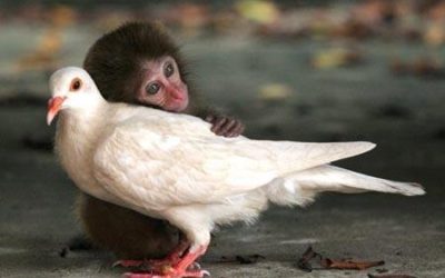 Despre dorinta de a-i indrepta pe ceilalti