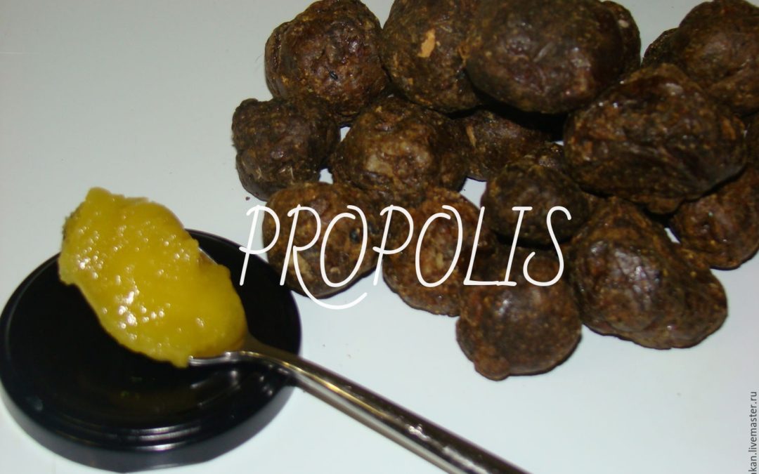 Propolis – un „cocteil” de substanţe vindecătoare