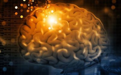 Creierul se transformă! Neuroplasticitatea – capacitatea miraculoasa a creierului.