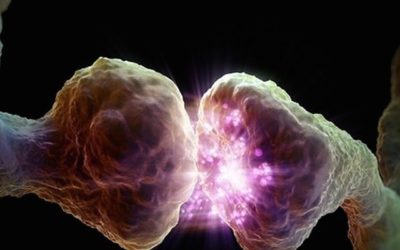 „Mecanismul fericirii și suferinței. Este o știință a minții”