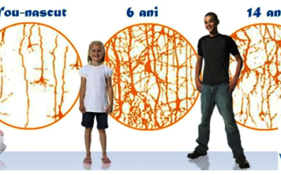 „Explozie neuronala” la copii si adolescenti
