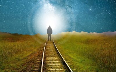 Ce ai venit să experimentezi?